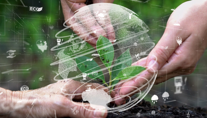 Developing an ESG Strategy