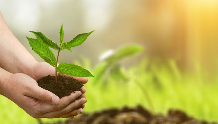 Earthworm invests £3.7m into the future of our planet