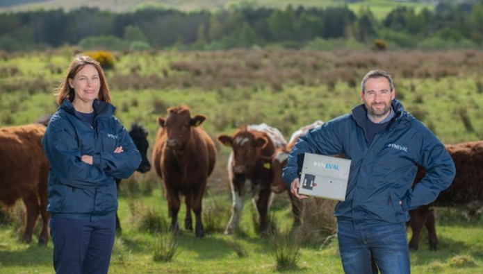 From tech lab to field - innovation helping to boost cattle numbers