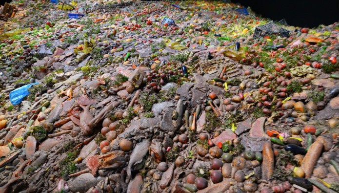 Combatting global food waste with AI
