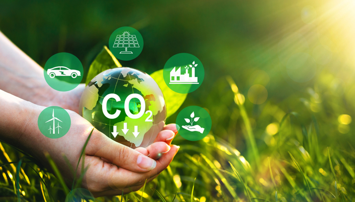 How to reduce the carbon footprint of your business