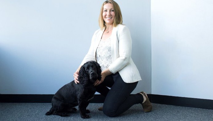 Workplace pet: Marv the cocker spaniel